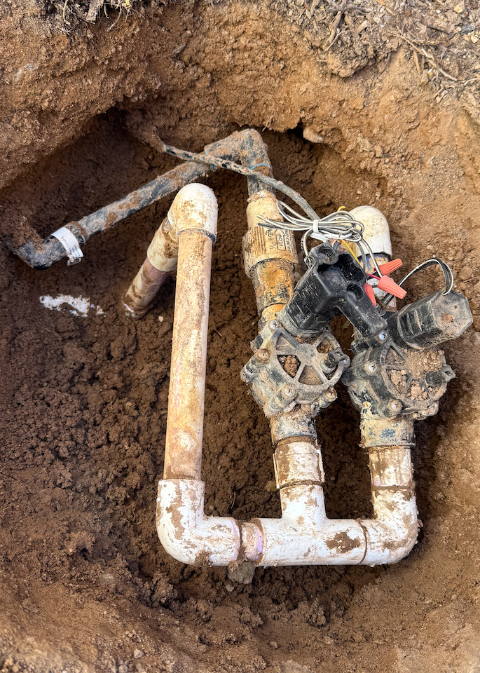 San Diego for the summer